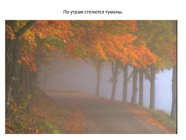 Картинки ветер срывает листья осенью Картинки ветер срывает листья осенью